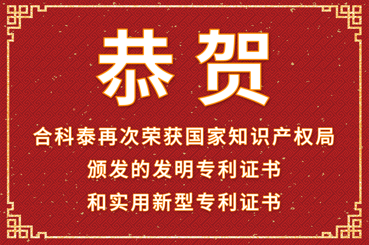 “粽”情端午 | 美好接“粽”而来
